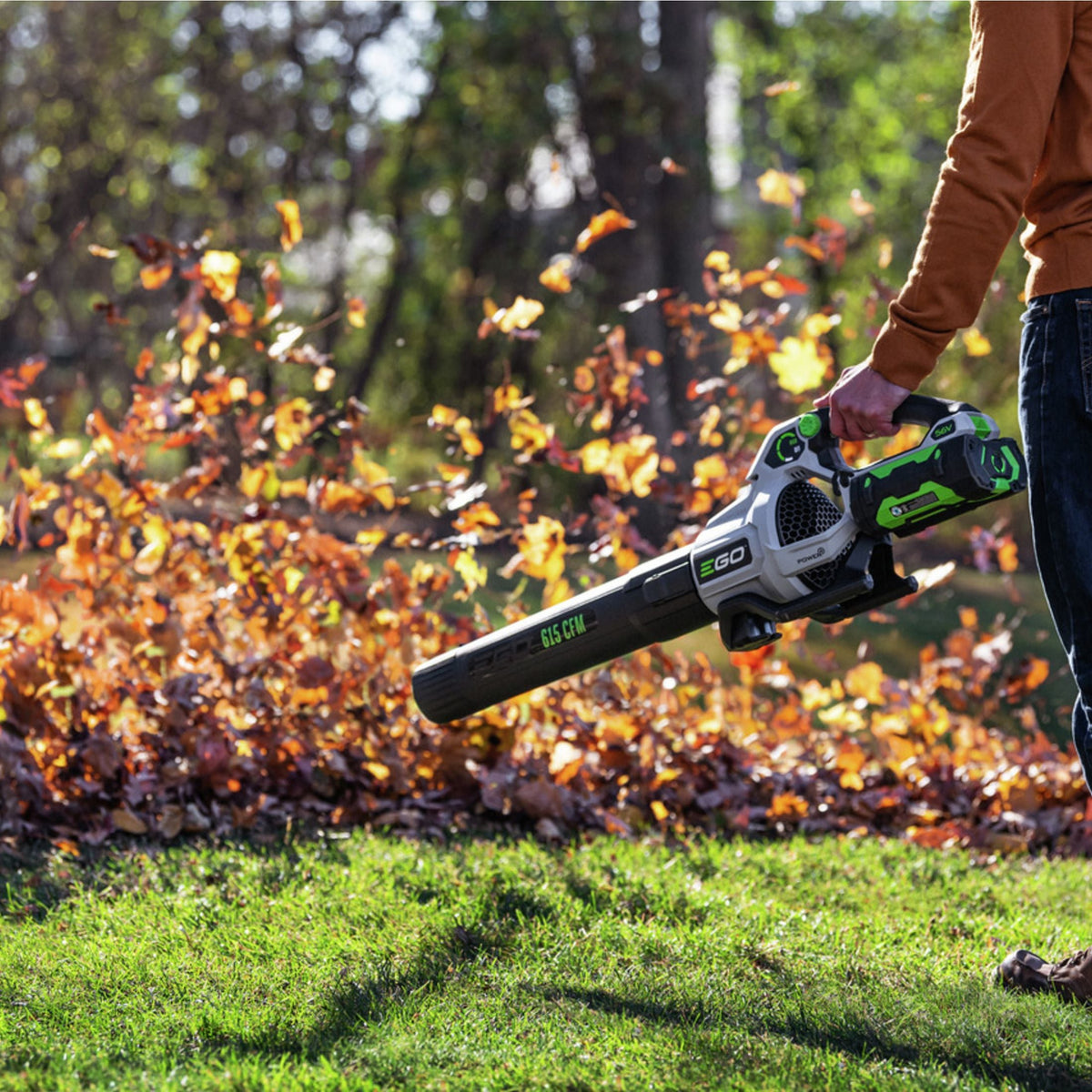 56V Brushless Cordless 615 CFM Leaf Blower, Includes (1) 2.5Ah Battery and (1) 210W Standard Charger, LB6151 R8Z1 - product image 6