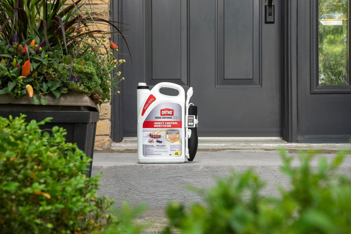 Home Defense MAX Perimeter & Indoor Liquid Ready-to-Use Insect Control, Insecticide, 4-L A4A9 - product image 5