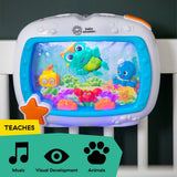 Baby Einstein Sea Dreams Soother Musical Crib Toy and Sound Machine G8V4 - product image 8
