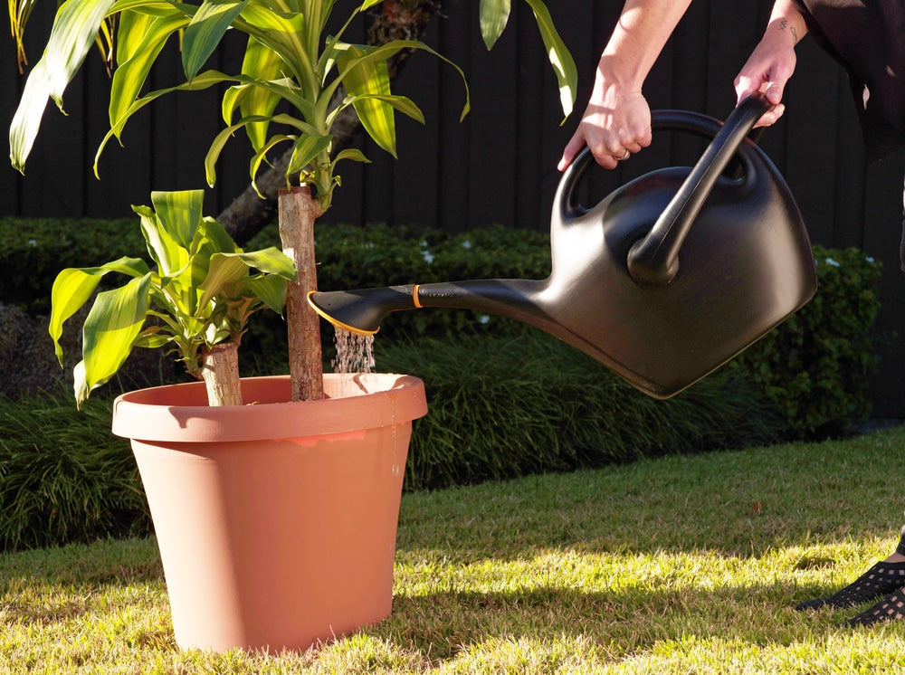 Easypour 2-in-1 Spout Watering Can with Dual Handle, 9.8-L, (2.6 US gal) Black O3Z6 - product image 5