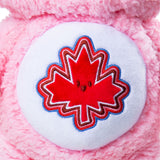 Care Bears Medium Plush Bear 2.0, 14-in V1W7 - product image 5