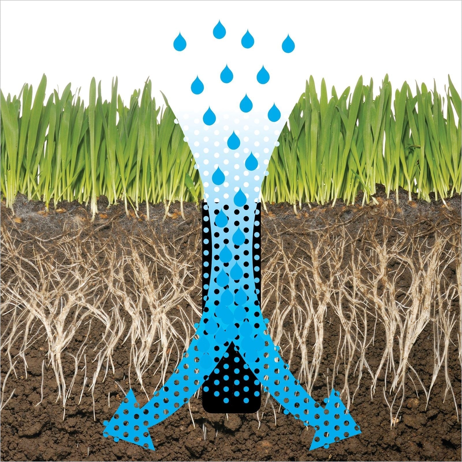 Heavy-Duty Two-Prong Extended Reach Steel Coring Aerator with T-Handle, 38-in O1U9 - product image 3