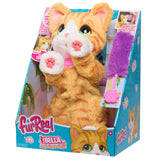 Real Kitty Plush, Amber A1Q4 - product image 1