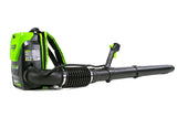Pro 60 V 160 MPH - 540 CFM Lithium-ion Backpack Leaf Blower, Tool Only D0G9 - product image 5