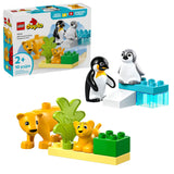 DUPLO Wild Animal Families: Penguins & Lions Toy Building Set - 10442, 10-pcs, Ages 2+ R6G4 - product image 1