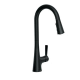 Mikah 1-Handle Pull Down Kitchen Faucet, Matte Black A2E8 - product image 1