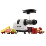Horizontal Slow Juicer, 150W, 4 Cups G5P2 - product image 4