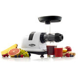 Horizontal Slow Juicer, 150W, 4 Cups G5P2 - product image 5