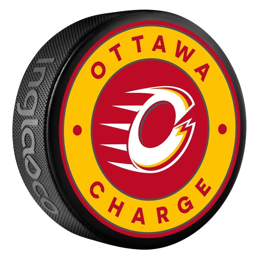 Hockey Puck, 6-oz P8C3 - product image 1