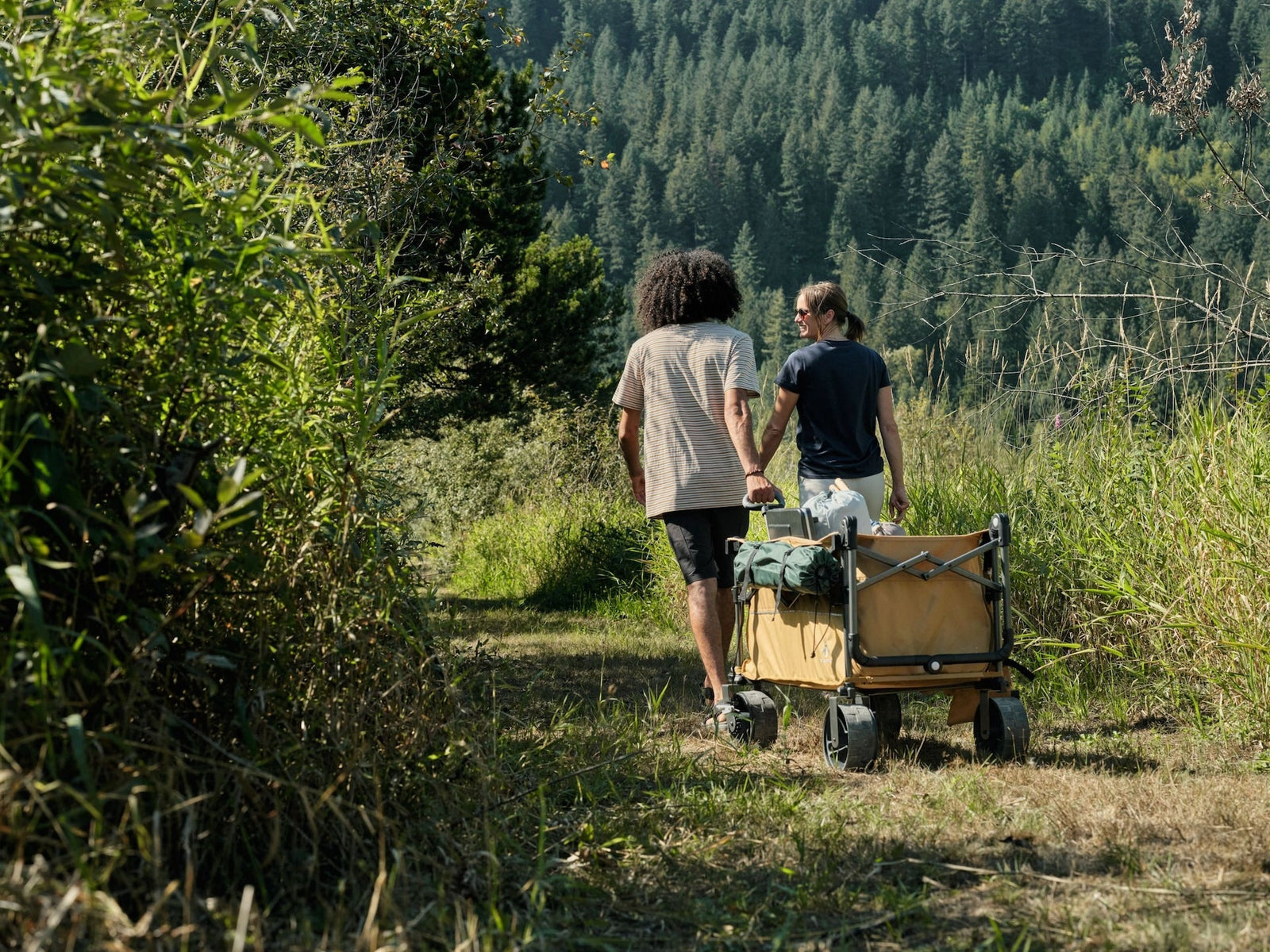Overlander Fully Equipped Folding Wagon, 102-kg Capacity A9E9 - product image 8